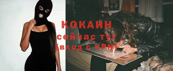 мет Алексин