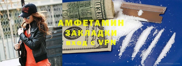 мет Алексин