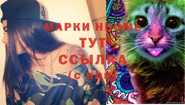 мет Алексин
